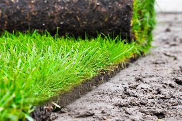 Gartenzäune Fertigrasen